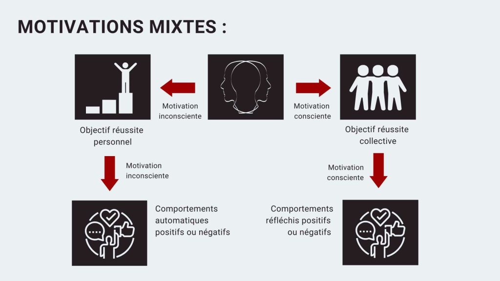 infographie des motivations mixtes